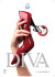 DIVA...in ogni situazione