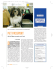 Pet Passport