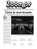 Zoomps 2008 2
