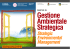 Strategic Environmental Management
