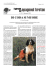 giornale del epagneul breton