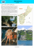micronesia - Pan Pacific Tours