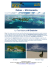 Palau &ndash; Micronesia