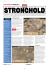 Stronghold soluzione