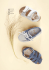 sandali ⁄ sandals G550 scarpe da barca ⁄ boat shoes G900