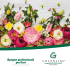 Spugne professionali per fiori