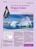 Penguin Dance - Edizioni Junior
