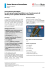 PUBLIC-Factsheet carta Maestro - Banca dello Stato del Cantone
