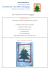 Christmas Tree Wall Hanging - iltulipanoblu patchwork e quilting