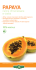 PAPAYA - Erba Vita