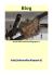 http://nidorondine.blogspot.it/