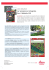Brochure LGG Solution