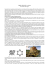 crop circles - GALILEO - Centro Culturale di Ricerche Esobiologiche