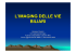 Imaging delle vie biliari