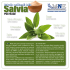 Estratto polifenoli della Salvia