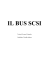 IL BUS SCSI