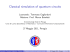 Classical simulation of quantum circuits
