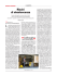 Leggi tutto l`articolo di Nicola Capuzzo