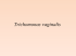 6 Trichomonas vaginalis