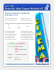 Answer Key: Italian Grammar Worksheet #2