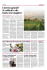 Moscato nuova sede 26-6-15