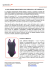 La collezione Swim Fitness 22013 per la Get Speedo Fit Campaign