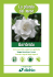 Scheda Gardenia Dichio