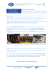 scarica il pdf dal sito SBS - Master in Strategie per il Business dello