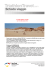 216_1561_files - Triathlontravel