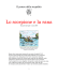 Disponibile anche in pdf