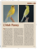 L`Irish Fancy - irish canary club italia
