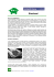 Biodiesel