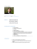 ita cv -