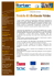 tecniche di allestimento vetrine