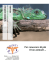 Iguana - Clinica Veterinaria Omniavet