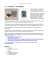 countdown - Arduino: programmi schemi e note
