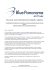 ON-LINE IL NUOVO SITO DI BLUE PANORAMA AIRLINES