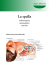 La spalla - Villa Melitta