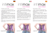 Como ajustar tu corset: Come regolare il corsetto: So