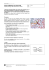 Come realizzare una mind map