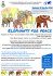 Elephants for peace_posterB