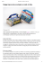 Doggy bag rebox ecologica e made in Italy