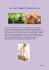 shiatsu italiano – viola