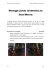 Montaggio puntale aerodinamico per Ducati Monster