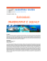 bahamas: immersioni e squali