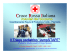 Il Triage Jump S.T.A.R.T. - JumpSTART Pediatric MCI Triage Tool
