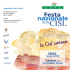 Il Sicet alla festa nazionale della Cisl