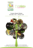Fattoria Didattica - Azienda Agricola Insalata di Insalata Teresa
