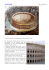 IL COLOSSEO
