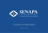 Senapa Consulting